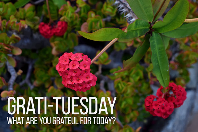Grati-Tuesday